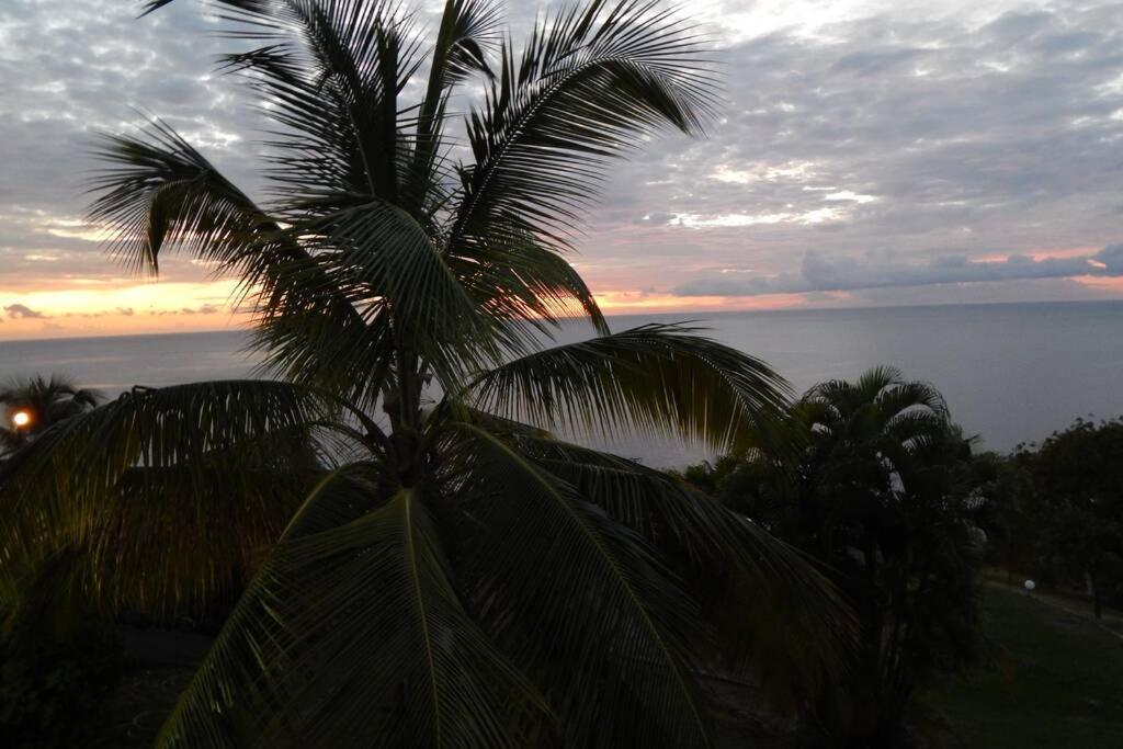 Le Morne Charlotte Villa Le Carbet Eksteriør billede